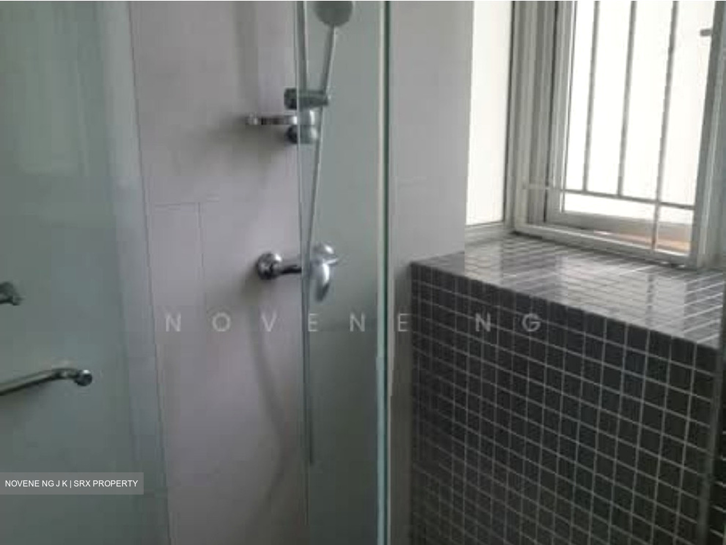 The Jade (D23), Condominium #574188521